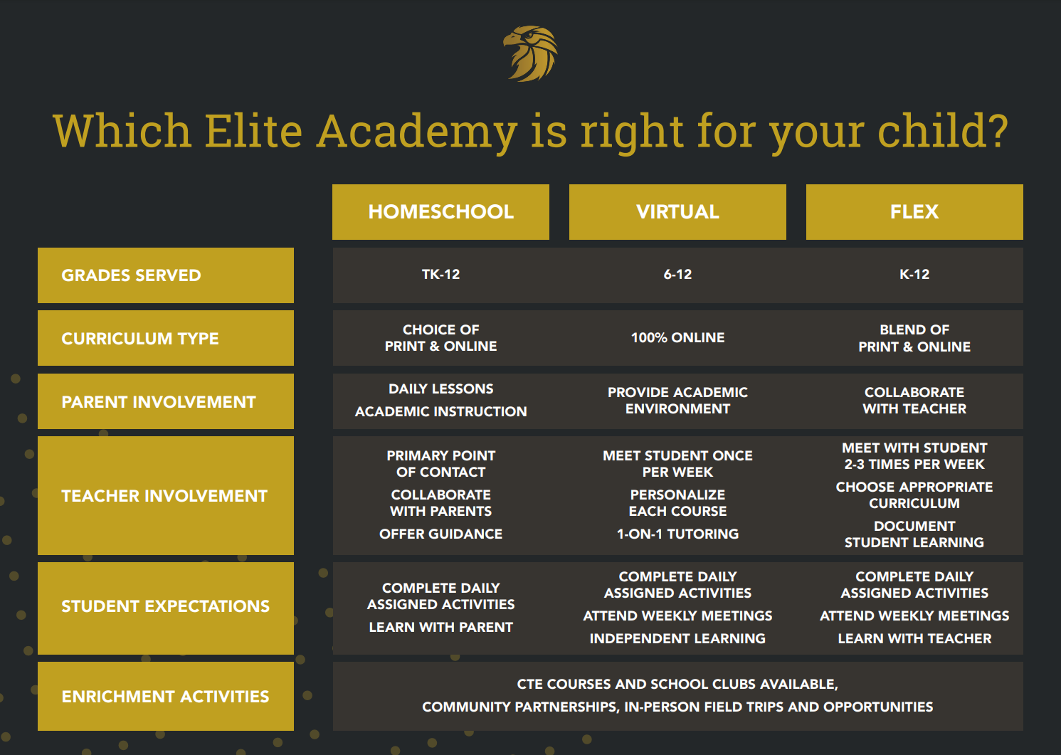 Virtual Academy - Elite Academic Academy