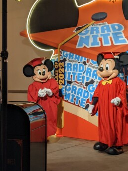 Mickey and Minnie Mouse dressed in Graduation Robes